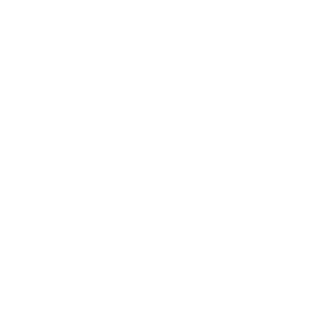 German Stunt Association