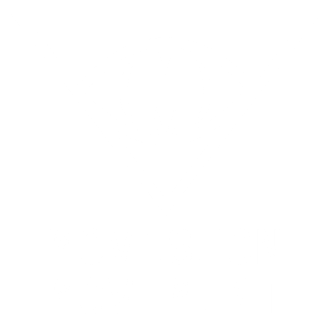 Movision Movement